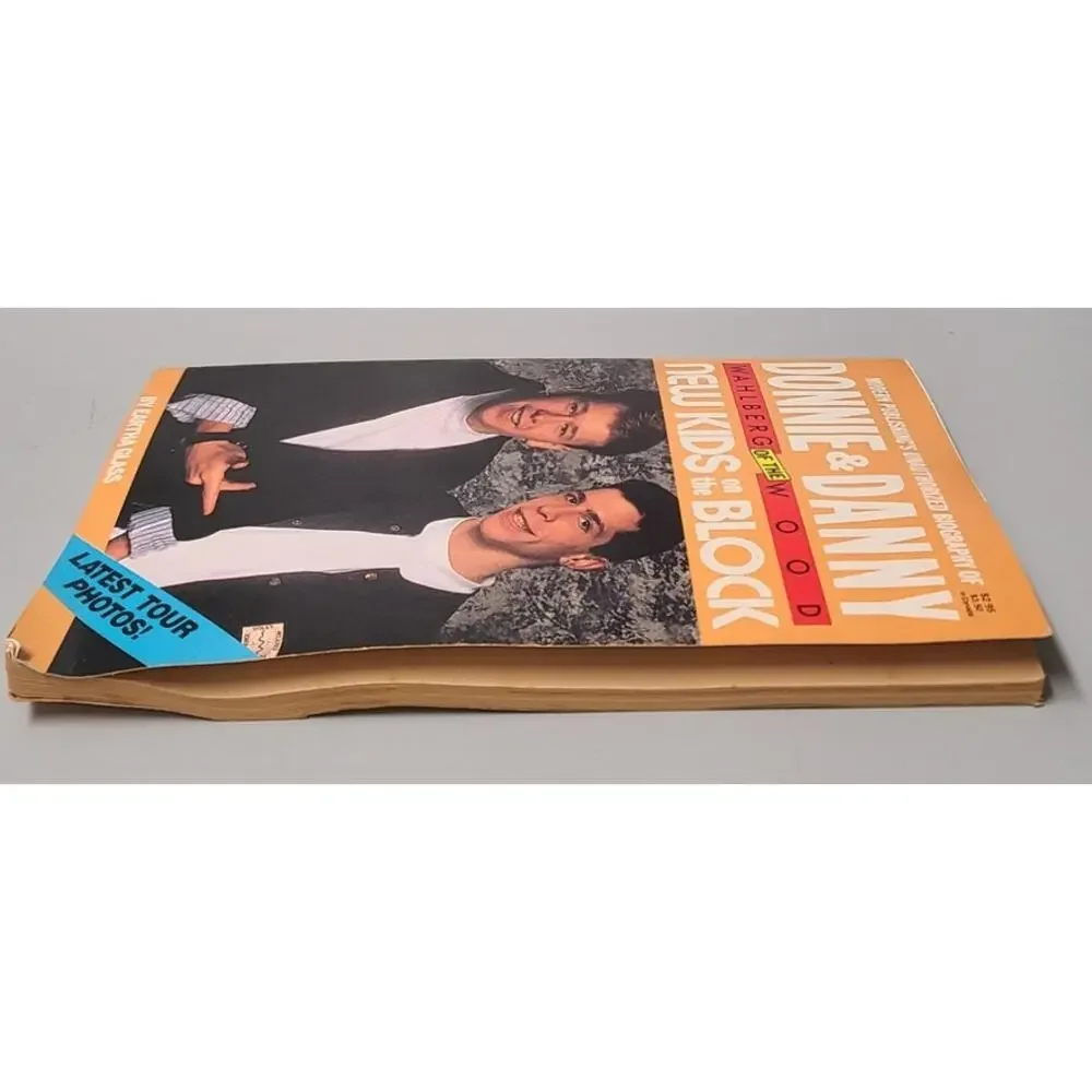 New Kids on the Block Biography Book Donnie Danny 1990 Boy Band Music NKOTB